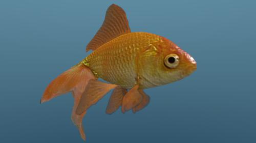 Low Poly Goldfish preview image